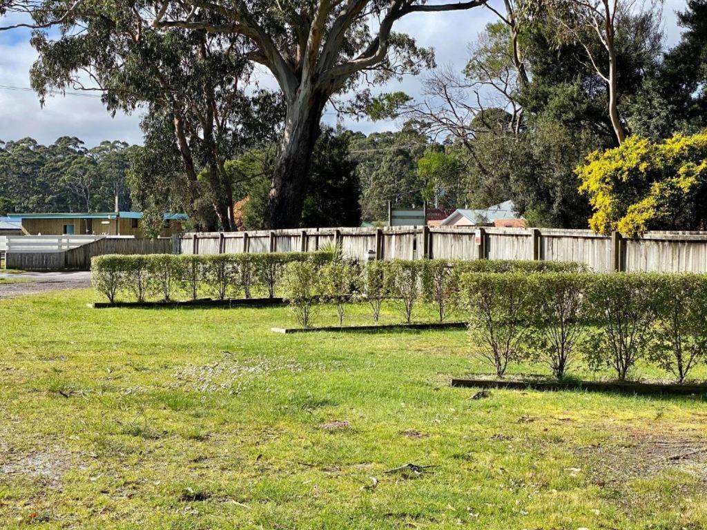 Strahan Beach Tourist Park Exteriér fotografie